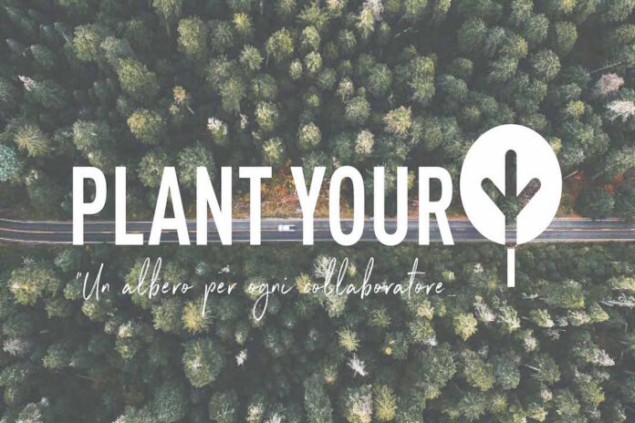 Atiproject plant your tree
